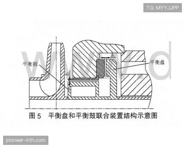 赖斯与贝林厄姆攻守平衡结构对比分析 赖斯与贝林厄姆攻守平衡结构对比分析